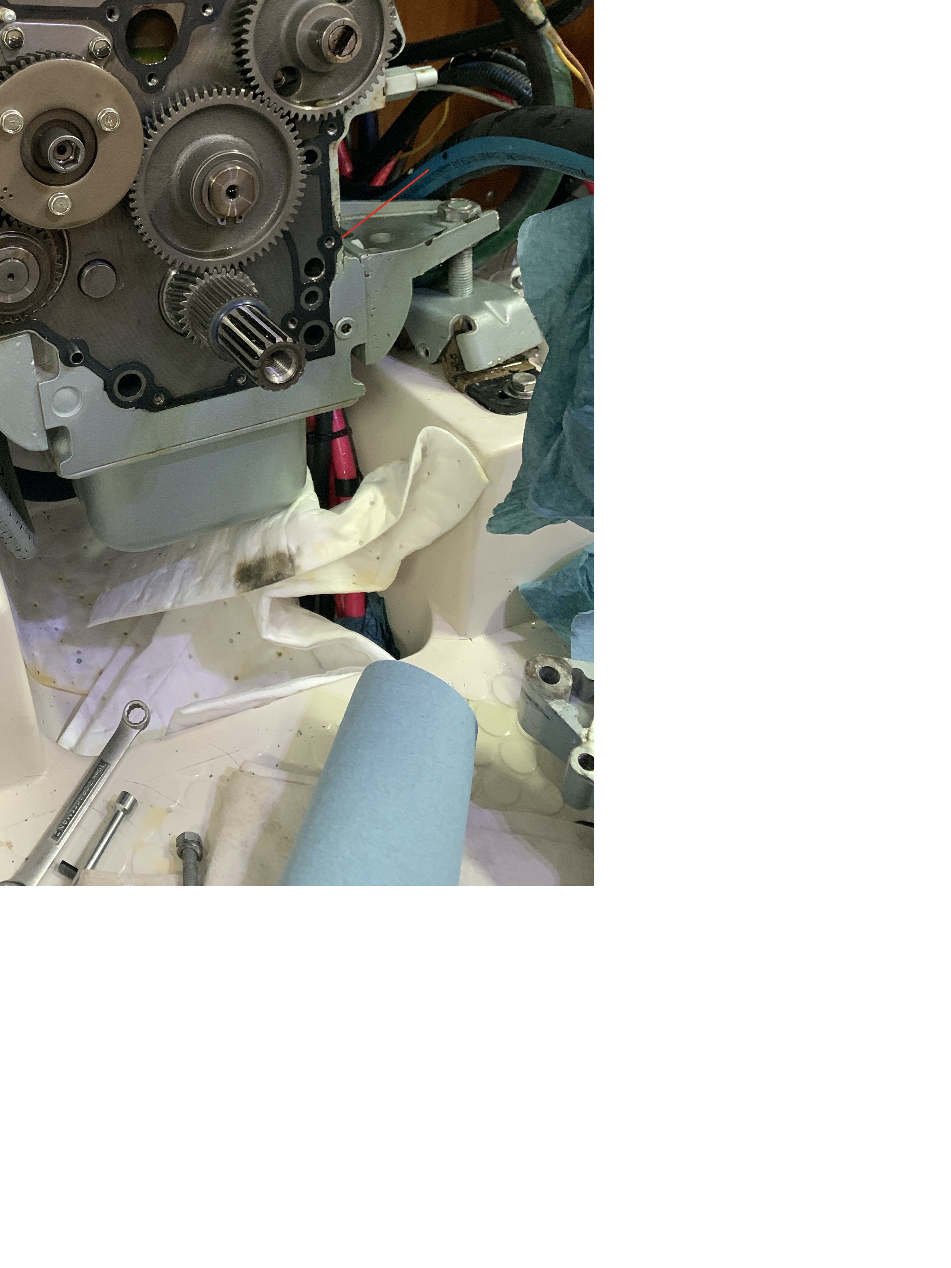 This Catalina Leak Will Change Your Perspective